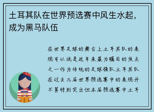 土耳其队在世界预选赛中风生水起，成为黑马队伍