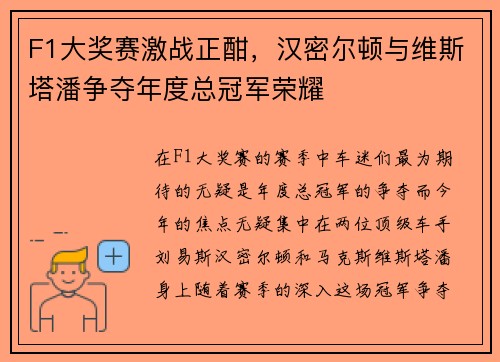 F1大奖赛激战正酣，汉密尔顿与维斯塔潘争夺年度总冠军荣耀