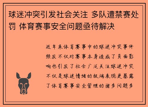 球迷冲突引发社会关注 多队遭禁赛处罚 体育赛事安全问题亟待解决