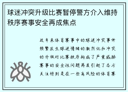 球迷冲突升级比赛暂停警方介入维持秩序赛事安全再成焦点