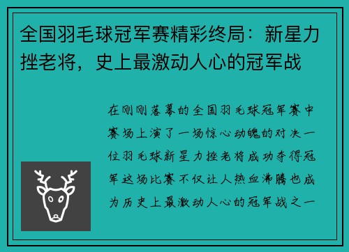 全国羽毛球冠军赛精彩终局：新星力挫老将，史上最激动人心的冠军战